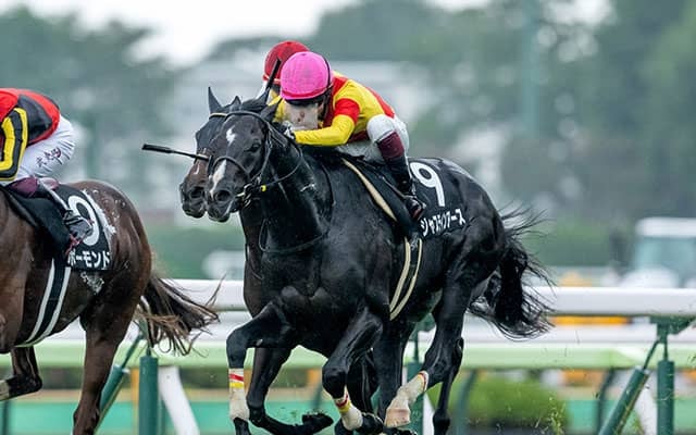 【大沼S】逃げ馬が好成績 軸として安定感のある年齢は？