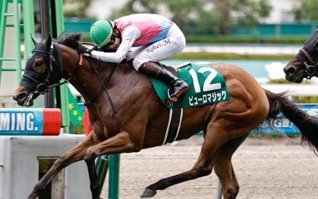 【北九州記念】上位人気不振で波乱傾向 前走1着馬が軸に最適