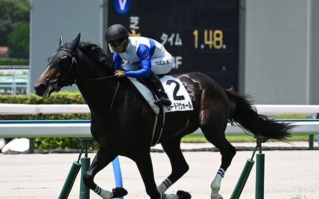 【小倉5R新馬戦結果】エピファネイア産駒ロードラヴォールが5馬身差で圧勝