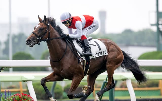 【函館5R新馬戦結果】ショウナンガルフが7馬身差V ハービンジャー産駒の2億円ホース