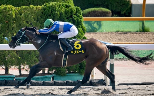【大沼S結果】ペリエールが好位から抜け出し約2年ぶりのV