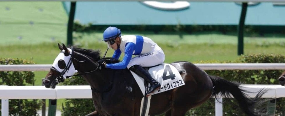 【新馬/小倉6R】ダノンプレミアム産駒 ロードヴィゴラスがデビューV