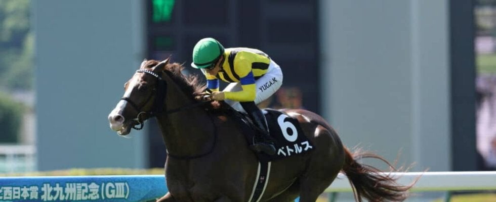 【九州スポーツ杯】良血ベトルスが完勝…3着以下には大差