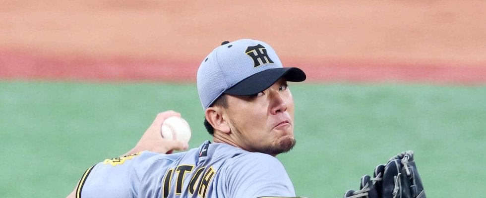 【阪神】伊藤将司が安定感抜群３連勝　チーム防御率「1.93」DeNA後輩にも届けた先輩の姿　