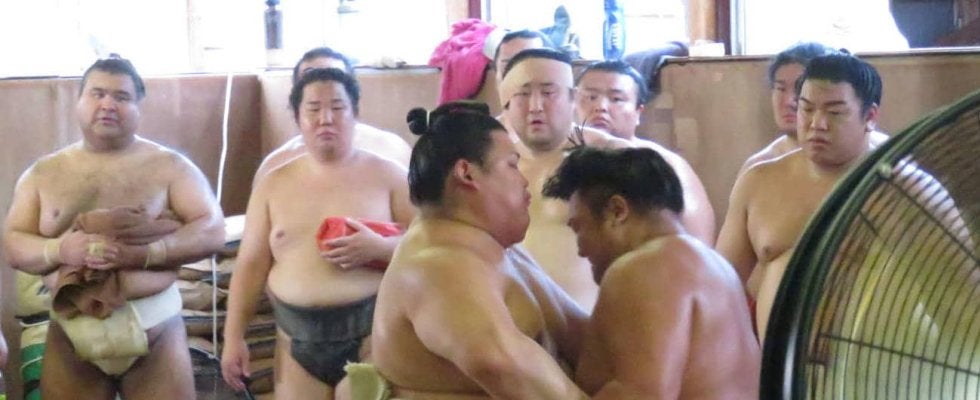 霧島２日連続で境川部屋に出稽古　過去６戦全敗の大の里にこの日は２勝３敗で「よかった」