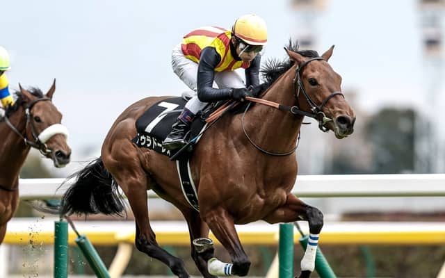 【AI予想・七夕賞】小回り福島の難解なハンデ戦！ バラエティに富んだ人工知能の本命候補とは