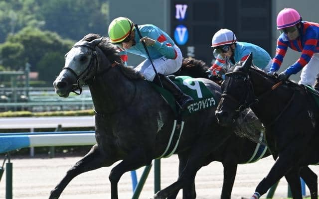 スプリント戦で強さをみせるヤマニンアルリフラ 背景には母から受け継いだスピード色の強い血