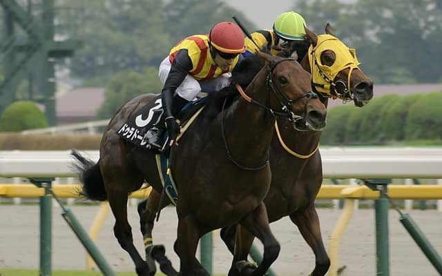 【七夕賞展望】好走データに該当するドゥラドーレスに注目