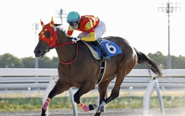 バレンタインケーキが連勝 コスモス賞の優先出走権獲得