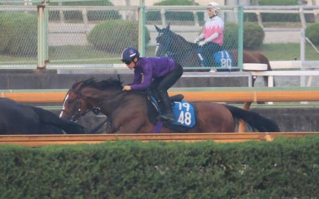 メリオーレム、小倉記念1週前追い切り速報/栗東トレセンニュース
