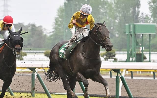 【小倉記念想定】カラテやエピファニーなど15頭