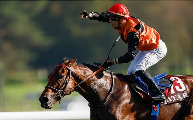 父に無敗の凱旋門賞馬やJpnI覇者など セレクトセールの“レア産駒”を紹介