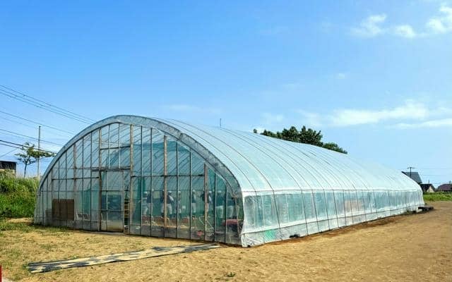 「ビニールハウスで暑さ慣れ」高校も　夏に涼しい地域、試合への工夫