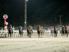 【門別・星雲賞結果】ミラクルヴォイスが人気に応えて重賞2勝目を挙げる