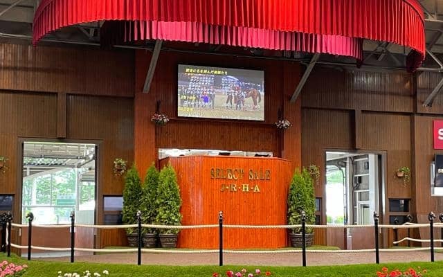 “6億円馬”が約20年間も不動の1位 セレクトセール高額馬ランキング