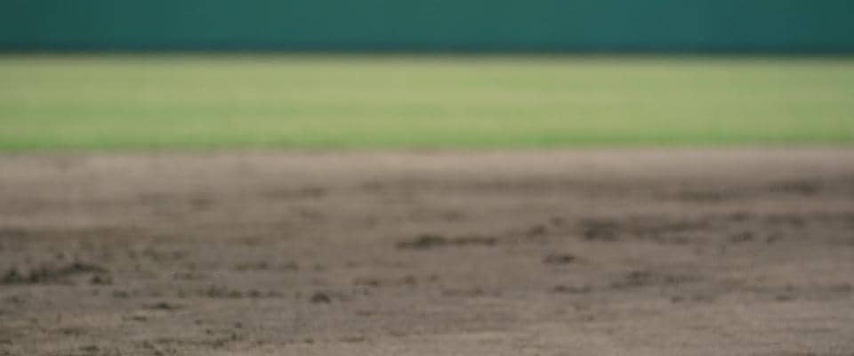 春日部共栄が３８－０で五回コールド勝利　前日３４点リードの四回表終了時に雷雨で継続試合に