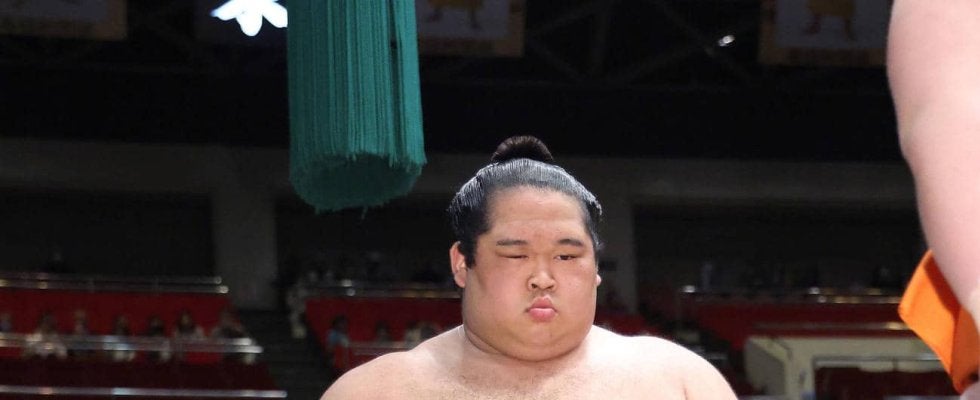 生田目が膝を手術　二子山親方「４場所くらい休場に」長期休場から再起目指す