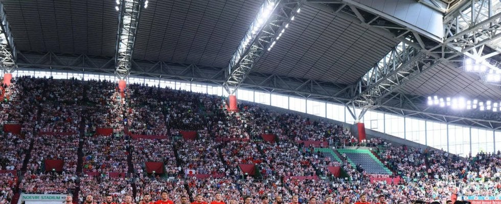 【ラグビー】ウェールズ、連敗18で止める　日本に競り勝ちリベンジ「待ちに待った勝利」主将