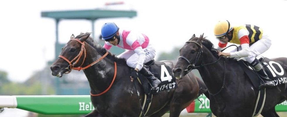 【巴賞】ディープ産駒 ケイアイセナがオープン初勝利