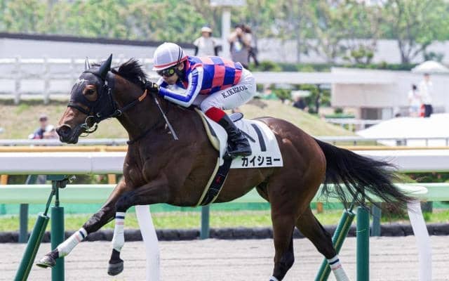 【函館2歳S】カイショー、ブラックチャリスらが登録