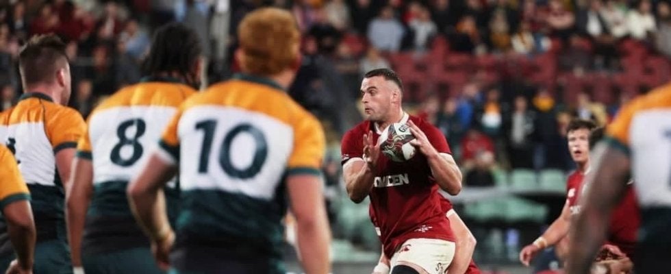 【ハイライト動画あり】ブリティッシュ&アイリッシュ・ライオンズ、48得点&無失点で圧勝。5連勝でワラビーズとのテストマッチへ