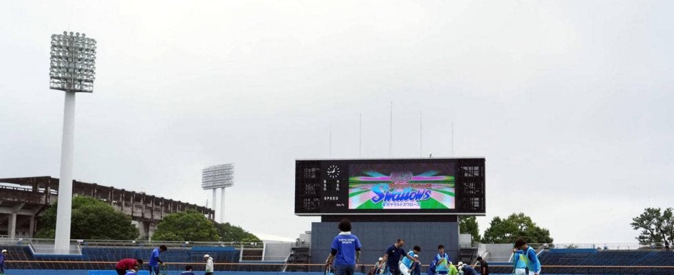 ヤクルト－巨人は降雨中止、中村優斗と西舘勇陽が先発予定が流れる