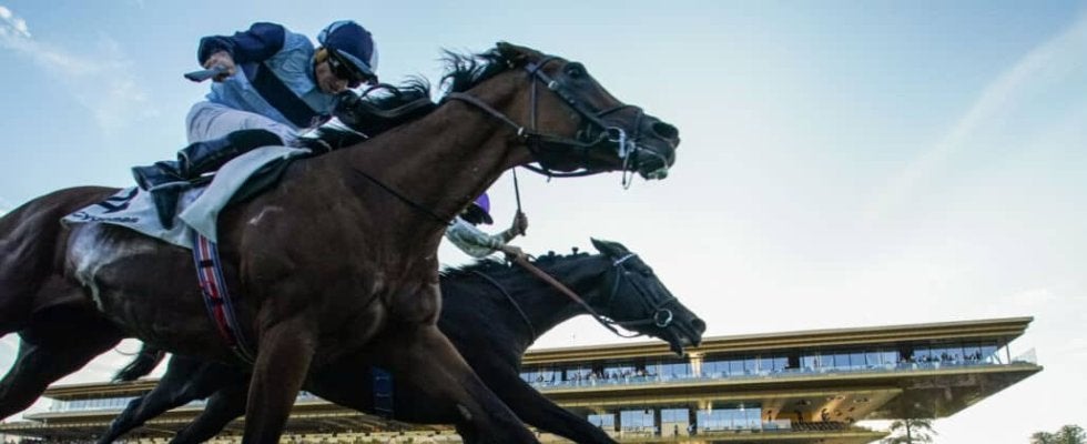 【海外競馬】ルファール、JC.ルジェ調教師を再び世界の頂点へ--1万人超の観衆の前で感動の勝利