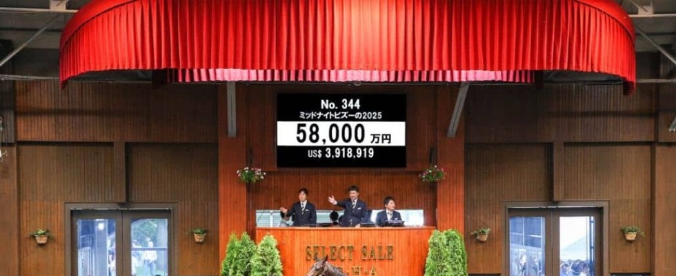【セレクトセール2025】イクイノックス初年度産駒が衝撃デビュー…23頭で35億円超の爆発的ヒット