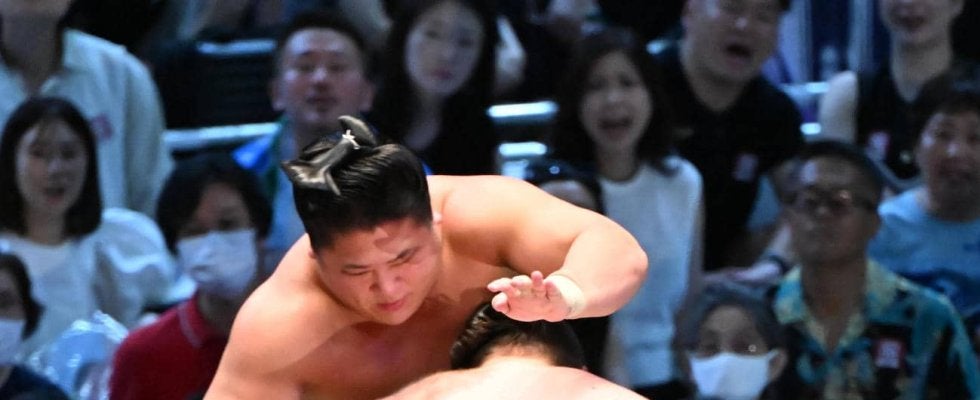 史上最速金星の安青錦、若隆景を押し出し圧勝「低い姿勢、若隆景は何もできなかった」浅香山親方