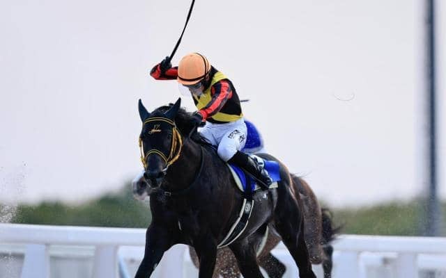 【函館2歳S】約9年ぶりに地方馬のJRA重賞制覇なるか 門別3戦2勝のスペシャルチャンスが参戦