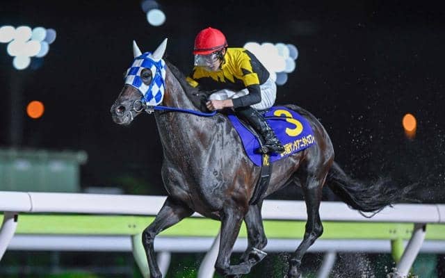 【大井・サンタアニタT結果】ランリョウオーが約1年半ぶりの勝利で重賞6勝目を挙げる