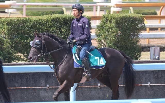 【JRA新馬戦】クロノジェネシスの仔ベレシートなどがデビュー