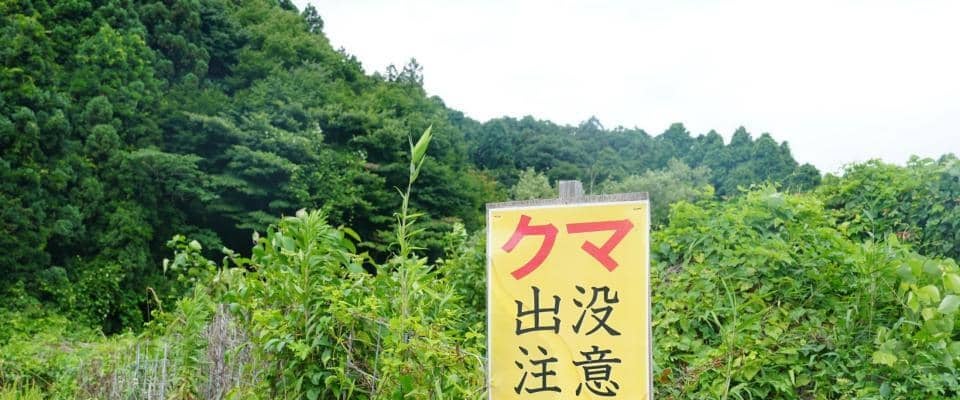 熊出没で無観客開催に女子ゴルファーから心配の声も　ＳＮＳで「難しい判断ですね…」「無事大会が終えますように！」
