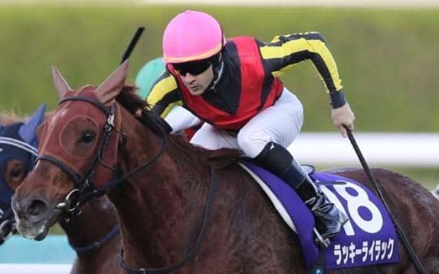 叔母はGI・4勝のラッキーライラック ポルフュロゲネトスがデビューVなるか