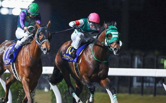 【盛岡・マーキュリーC枠順】川崎所属のライトウォーリアは1枠1番