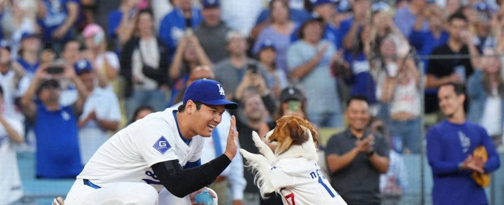 大谷翔平が三刀流に！愛犬デコピン描いた絵本出版「デコイが開幕戦を救う」収益は犬の保護活動支援