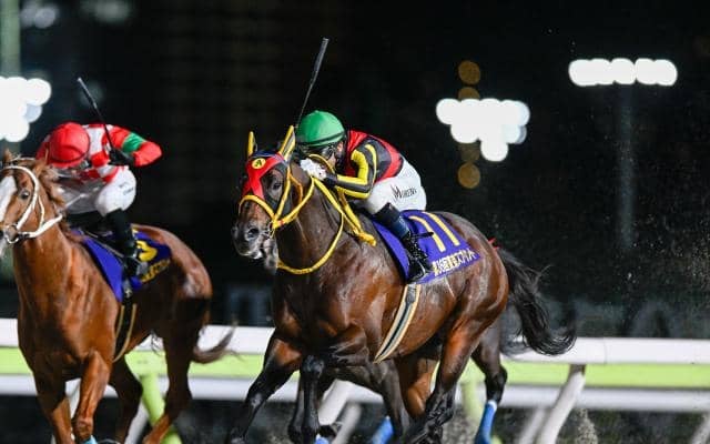 【東海S想定馬・騎手】エートラックス、ビダーヤなど20頭