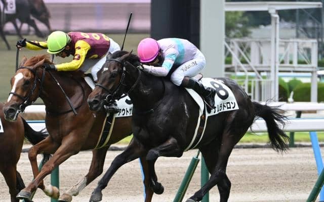 【小倉5R新馬戦結果】ナムラドロンが接戦を制す ダノンスマッシュ産駒のJRA初勝利