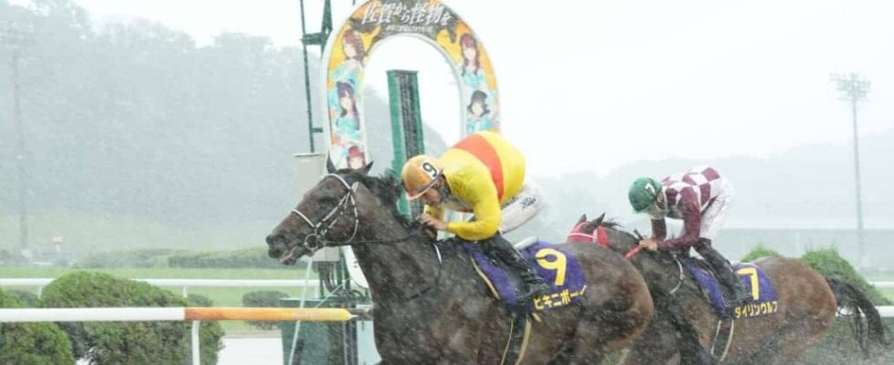 【佐賀・吉野ヶ里記念】ビキニボーイ、豪雨を突き抜け堂々V！飛田愛斗「勲さんの言葉で自信持てた」