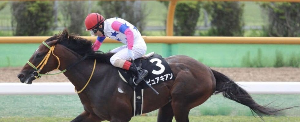 【マリーンS】ピュアキアンが脅威の粘り腰！オープン初勝利