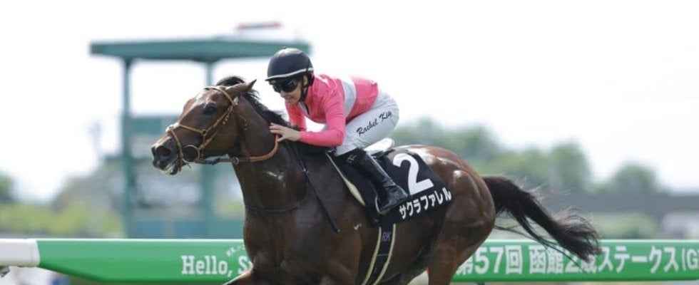 【湯浜特別】R.キング騎乗 サクラファレルが5馬身差完勝
