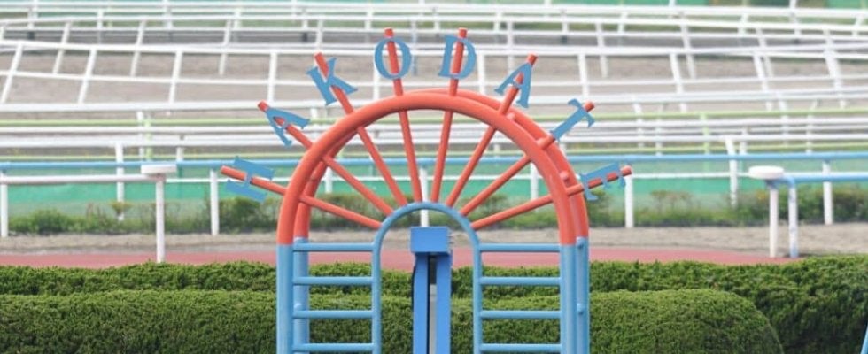 【函館5R】横山武ラブリーリディアが人気に応える…函館リーディング首位をキープ