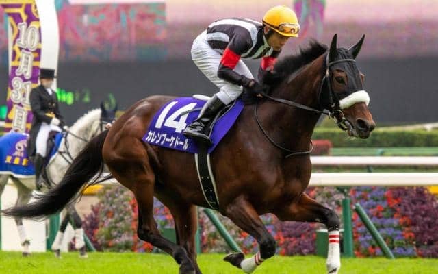 母はGI・2着3回のカレンブーケドール ハムタンが武豊騎手で初陣