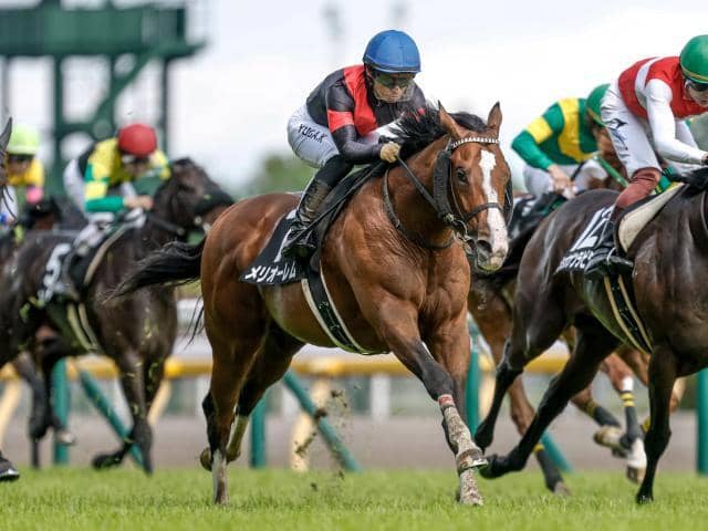 【超貴重】競馬　ドゥラメンテ　グラス 数量は多】 超貴重】競馬 グラス ドゥラメンテ コレクション