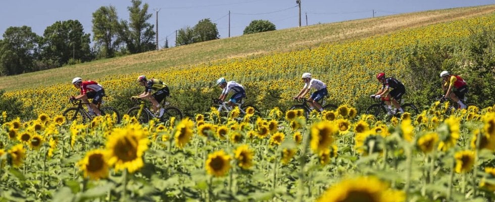 最後の週末は特別な2日間！第20・第21ステージで波乱は起きるか！？｜ツール・ド・フランス2025