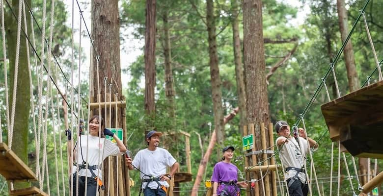 チームビルディングに森アドベンチャーが注目！森林再生の一助にも