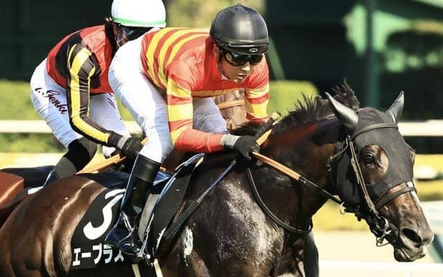 札幌芝はキズナ産駒に注 エープラスが波乱を呼ぶか