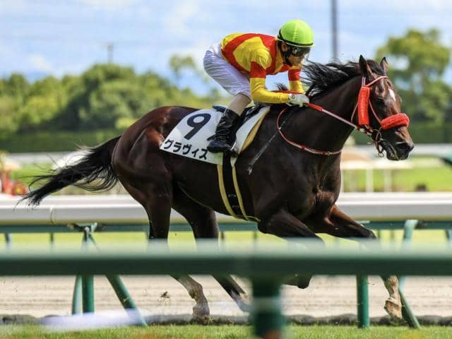 兄姉2頭が海外G1馬 グラヴィスが待望の3勝目なるか | その他競技