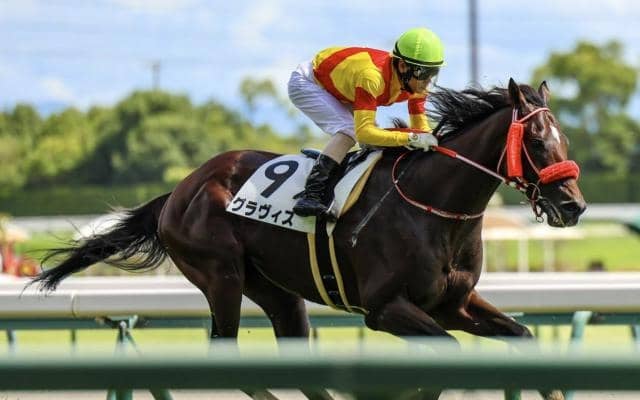 兄姉2頭が海外G1馬 グラヴィスが待望の3勝目なるか