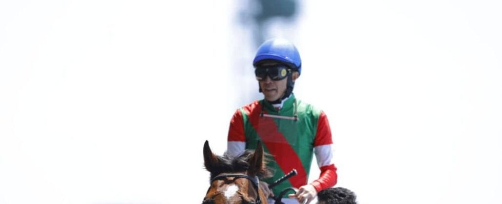 武豊騎手 今週の騎乗馬…JRA通算4600勝まであと4勝